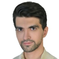 Ali Tabatabaei Lotfi