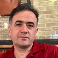 mehran salmani