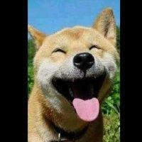 高建伟