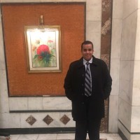 Mohamed Falawkas