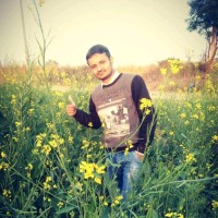 Vikash Sharma