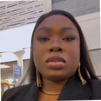 Ola Akin-Olotu, MSc, SAFe®6 SM, CSPO