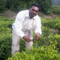 K.Ramesh Babu