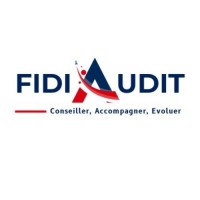 Fidia Audit