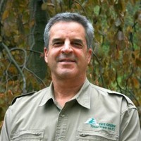 Tree Green Your Tree M.D.