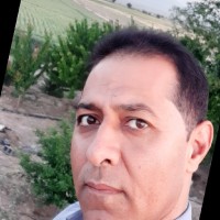 Morteza Amiri