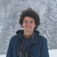 Valentin Moser