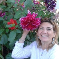 Cinzia Finardi
