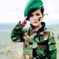 Haseb Zayeri