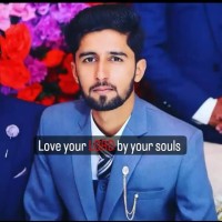 Anas M Ali