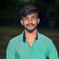 Vignesh Kumar P