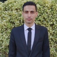 Alaa Arab