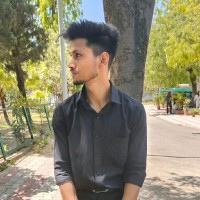 Raj Gupta