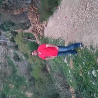 محمد علاء الدين