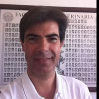 Francisco Miguel Malo Galve