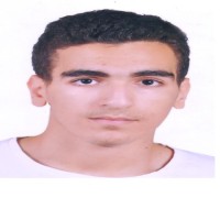Reda Jamaleddine