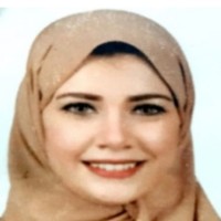 Sara Fahmy Aggour