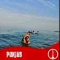 Gohar Ali