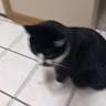 Nick Marrero