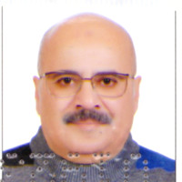 Mohamed Sawy