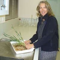 Christine Zaicou-Kunesch