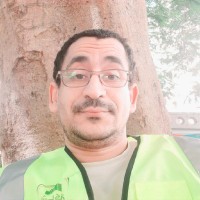 Mohamed Elsagheer