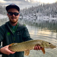 Emerson Ehrlich