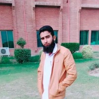 Muhammad Ansar