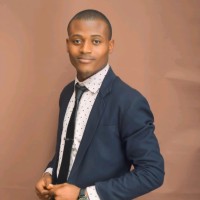 Timileyin Aluko. (Aca In View)
