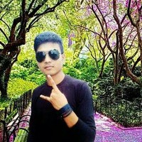 Krishna Moni