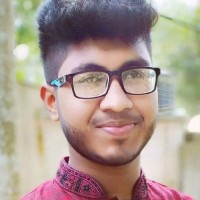 Md Mizanur Karim
