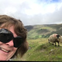 Cathy Sullivan