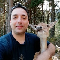 Simone Lazzaroni, PhD