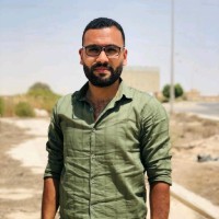Mostafa Elmsry