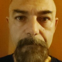 Michel Holm