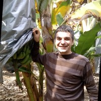 Igor Vasiljevic