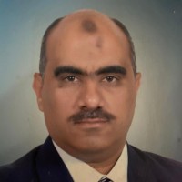 Mostafa Elfadel
