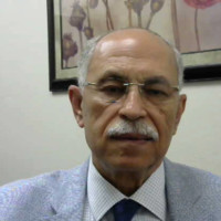Hany Nashed