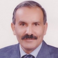 Magdy El Berry