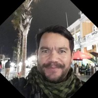 Mauricio Omar Alfaro Arancibia