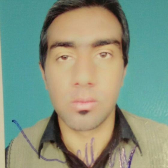 SYED MUJTABA HASSAN NAQVI