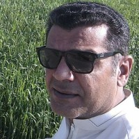 Naveed Maqbool