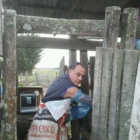 CARLOS HERRMANN GALLINO