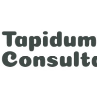 Tapidum IT Consultancy