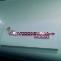 The Professional Couriers (S) Pte Ltd