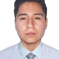 Andrius Norman Lucana Estrada