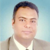sherif Abd-Alhalim