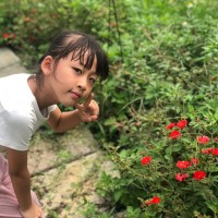 任江龙
