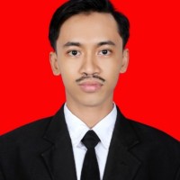 David Meilana Nur Arifin