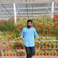 Lenin Raju
